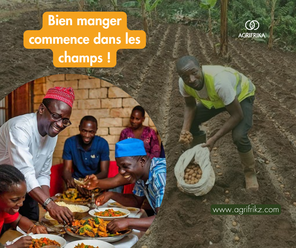 Agriculture et alimentation saine : un duo essentiel pour un avenir durable