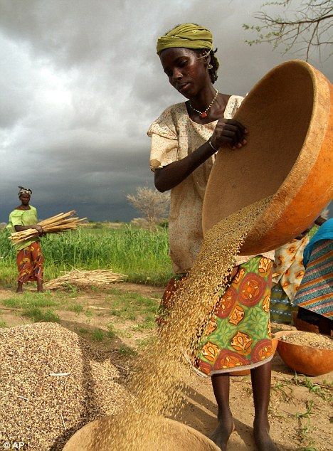 L’essor des circuits courts et de la consommation locale en Afrique : un levier pour la souveraineté alimentaire et le développement durable