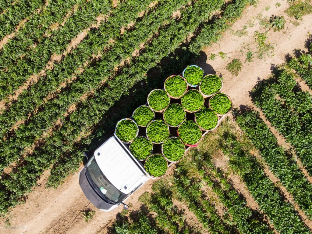 Pourquoi l’Afrique a besoin d’un écosystème agro-logistique solide