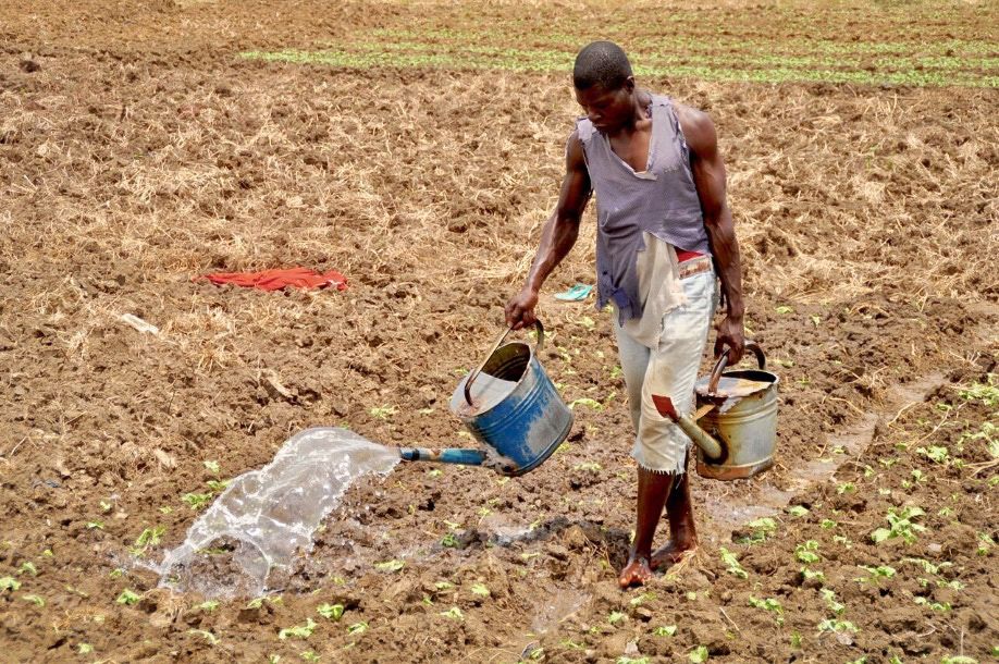 Changements climatiques : Quelles menaces réelles pour les champs camerounais ?