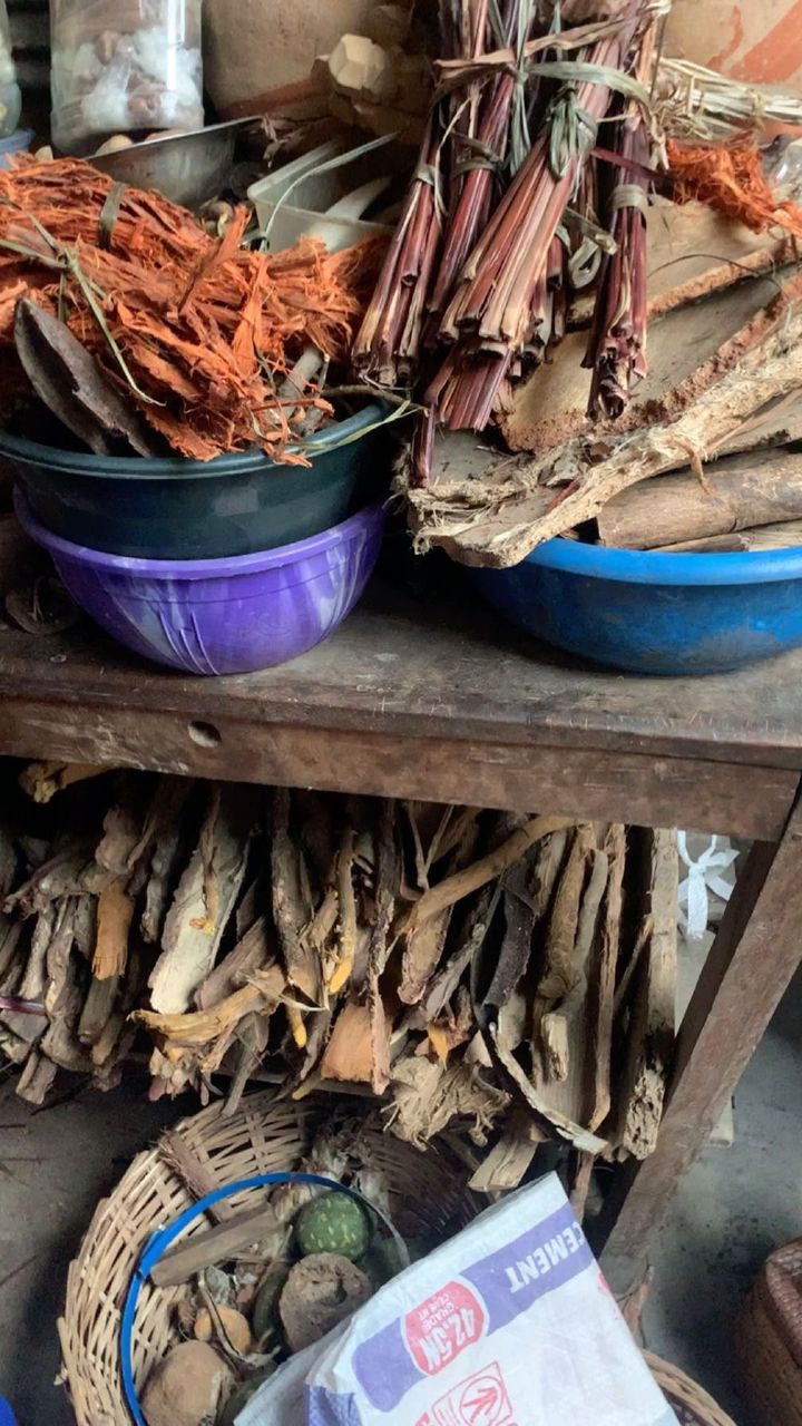 Fleurs et écorces médicinales d’Afrique : un trésor oublié à redécouvrir