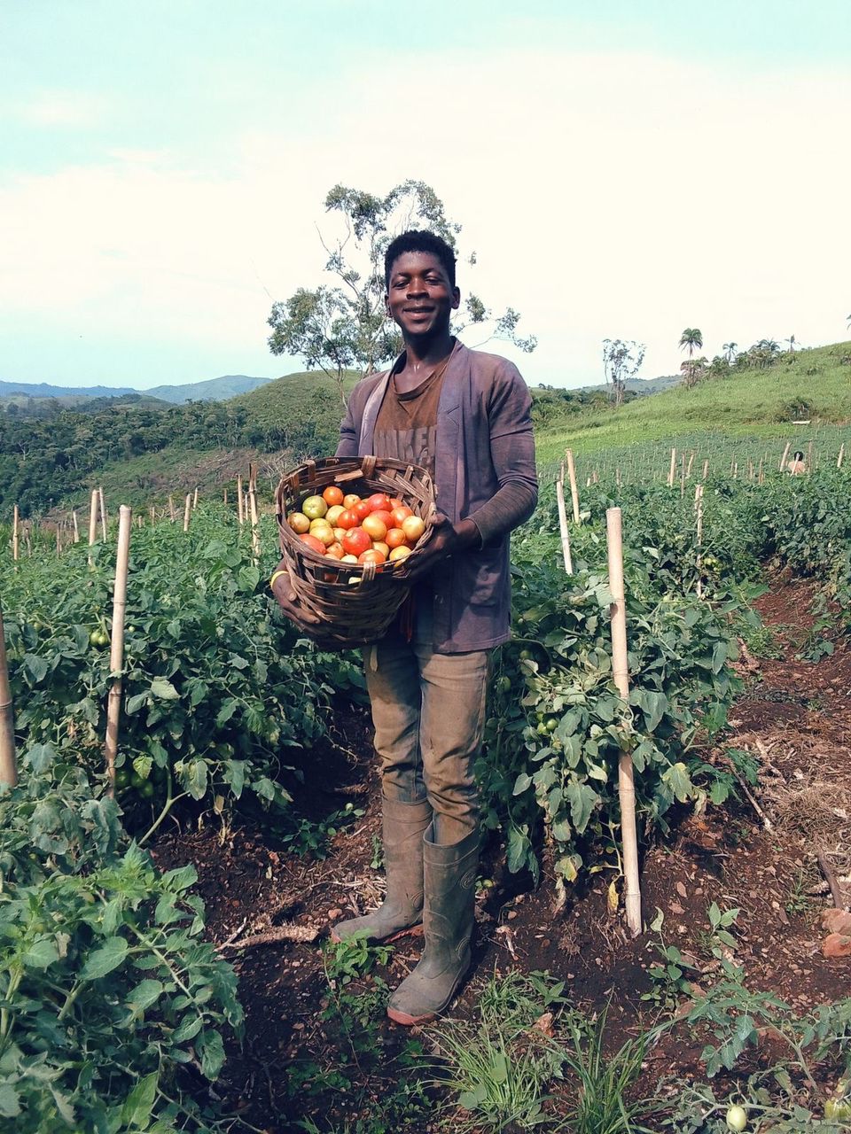 Les jeunes africains et l’avenir de l’agriculture : de la terre aux innovations