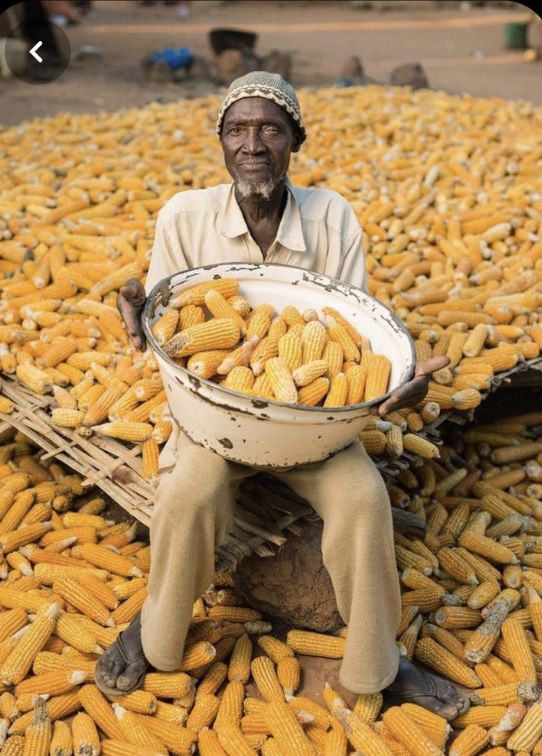 The age of the average farmer in Cameroon – a generational challenge