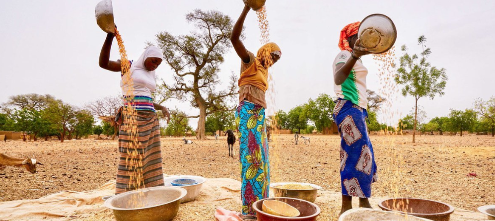 L’indépendance alimentaire : un défi stratégique pour les pays africains