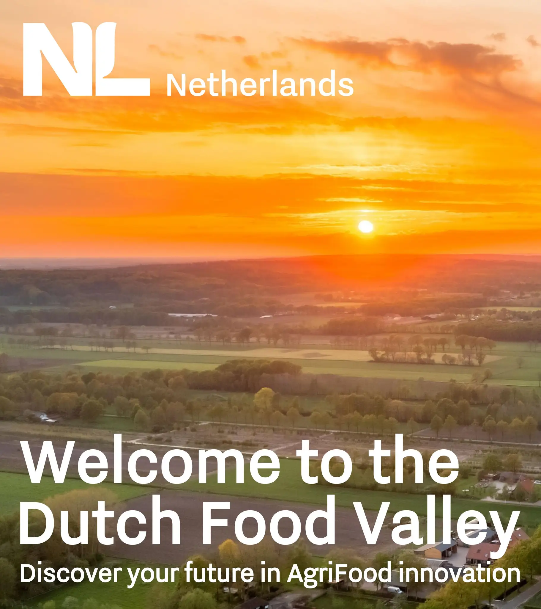 La Dutch Food Valley : un modèle qui doit inspirer l’Afrique